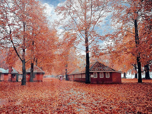 Best tourist places to visit in Kashmir in Autumn